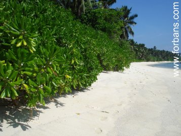 Caption photo 1
