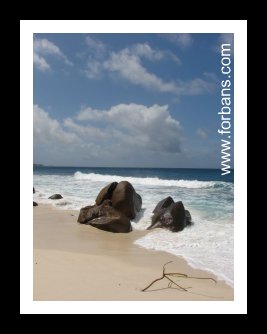 Anse Marie Louise Beach close to Chalets Anse Forbans