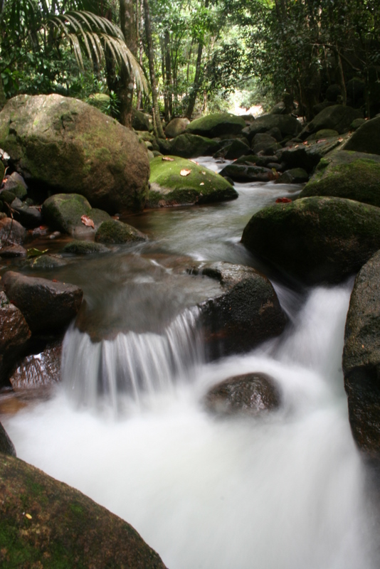 Chute d'eau  Mah aux Seychelles - photo de N Doak