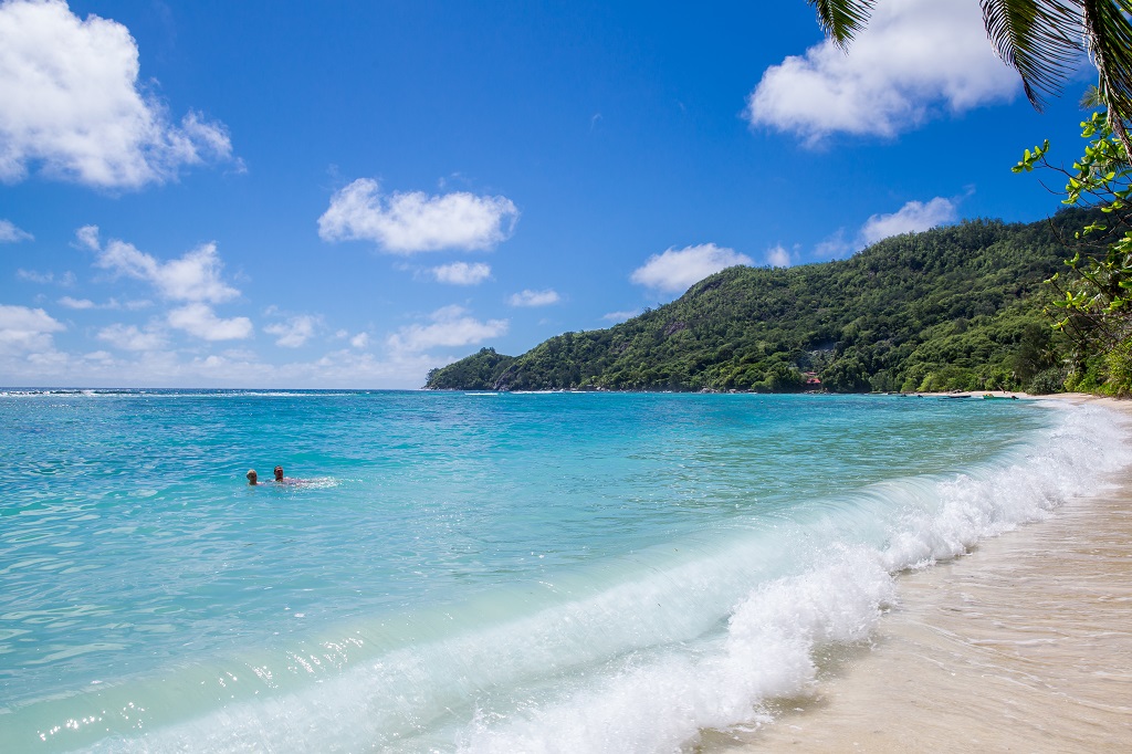 Nos chalets - en bord de mer et  quelques mtres de la Seychelles plage - sont aussi entours de beaux jardins tropicaux.